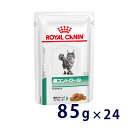 ロイヤルカナン 猫用 糖コントロール ウェット パウチ 85g×24 療法食 その1