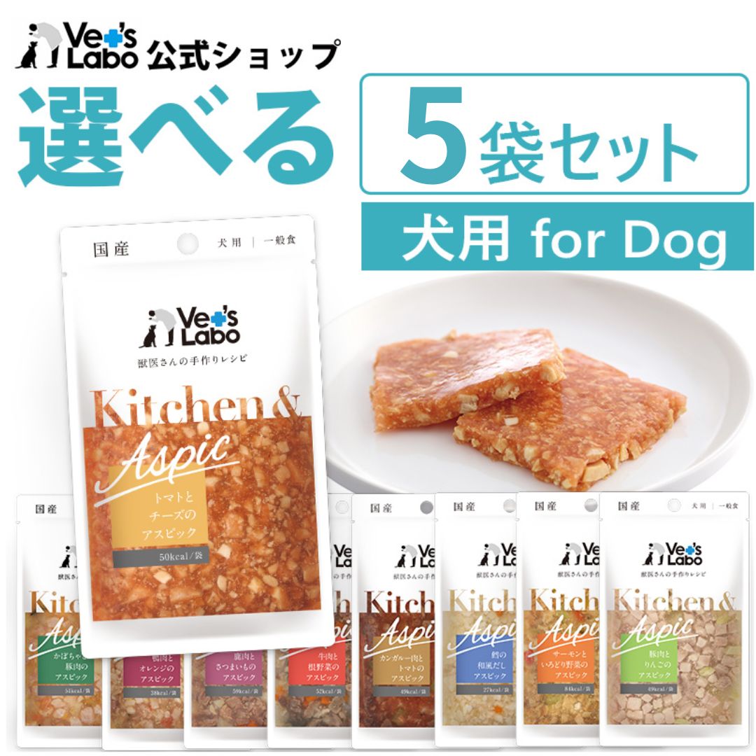 Rakuten - 公式【送料無料】Kitchen & Aspic 犬用 選べる5袋セット【Vet's Labo】【メール便配送】キッチンアンドアスピック 一般食 デリカテッセン ウェット フード ドッグフード 国産 [K/T/F]