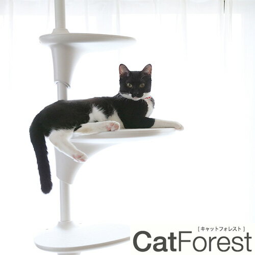 【OPPO (オッポ) 】Cat Forest キャット フォレスト キャットタワー ホワイト 猫 ペット 【OPPO (オッポ) 】Cat Forest キャット フォレスト キャットタワー ホワイト 猫 ペット