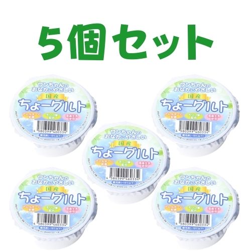 【クール便】ちょーグルト5個セット【ワンダード...の紹介画像2