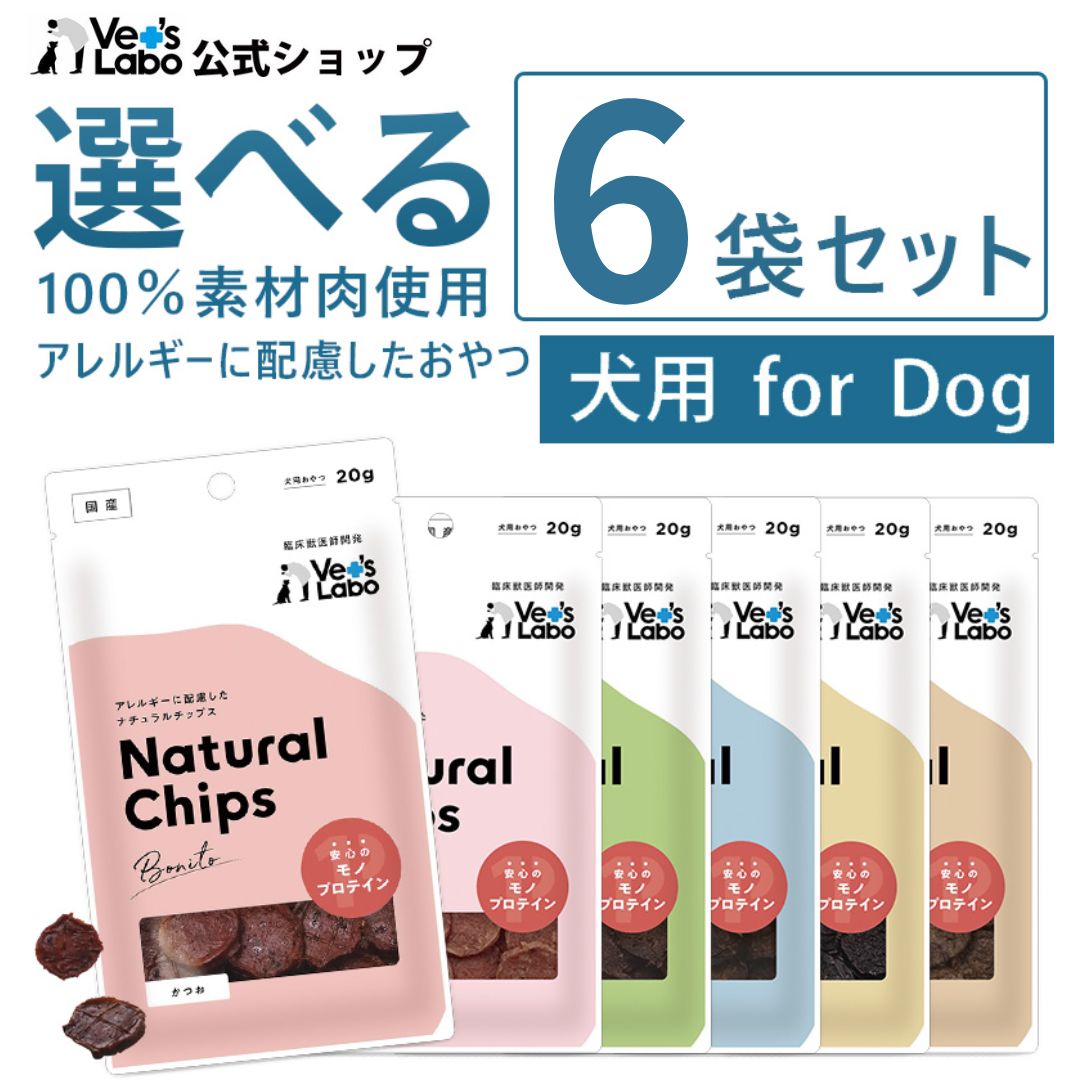 Rakuten - 公式 NEW ナチュラルチップス 選べる6袋セット 【Vet's Labo】 犬 おやつ 無添加 無着色 素材系 国産 モノプロテイン 選べる パリパリ チップス 成犬 幼犬 シニア犬 小型犬 中型犬 大型犬 周年祭