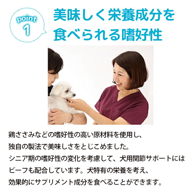正規品 おやつサプリ 犬用 選べる24袋セット Vet S Labo 犬 おやつ サプリメント成分 配合 健康 皮ふ 皮膚 被毛 口臭 泌尿器 しつけ 関節 パピー ジャパンペットコミュニケーションズ T Www Fincasdeeloro Com Ec