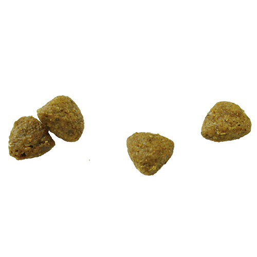 VetSolution 犬用 肝臓サポート 2kg 【Monge】 療法食 肝疾患 VetSolution CANINE HEPATIC ベッツソリューション 犬 フード モンジ 【正規品】