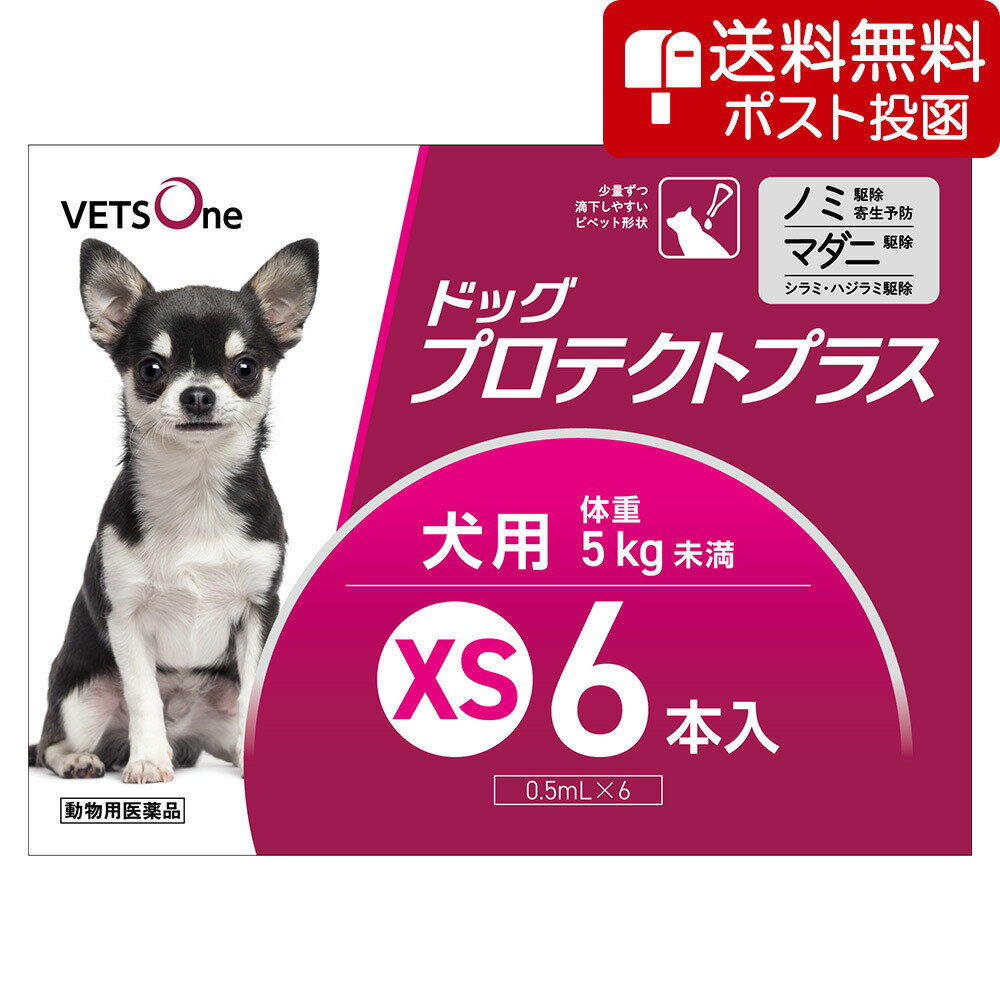【ネコポス(同梱不可)】ベッツワン ドッグプロテクトプラス 犬用 XS 5kg未満 6本 (動物用医薬品)...