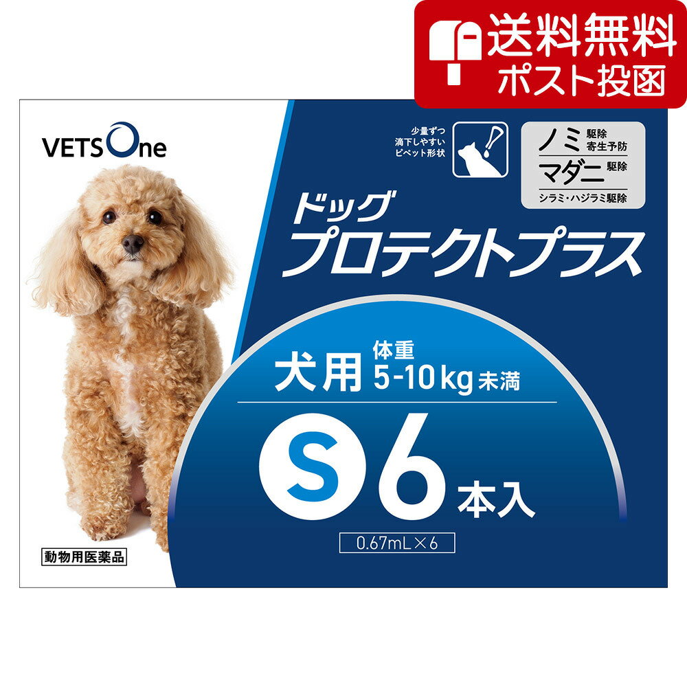 【ネコポス(同梱不可)】ベッツワン ドッグプロテクトプラス 犬用 S 5kg～10kg未満 6本 (動物用医薬品)...