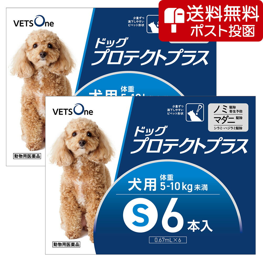 【ネコポス(同梱不可)】【2箱セット】ベッツワン ドッグプロテクトプラス 犬用 S 5kg～10kg未満 6本 (動物用医薬品)...