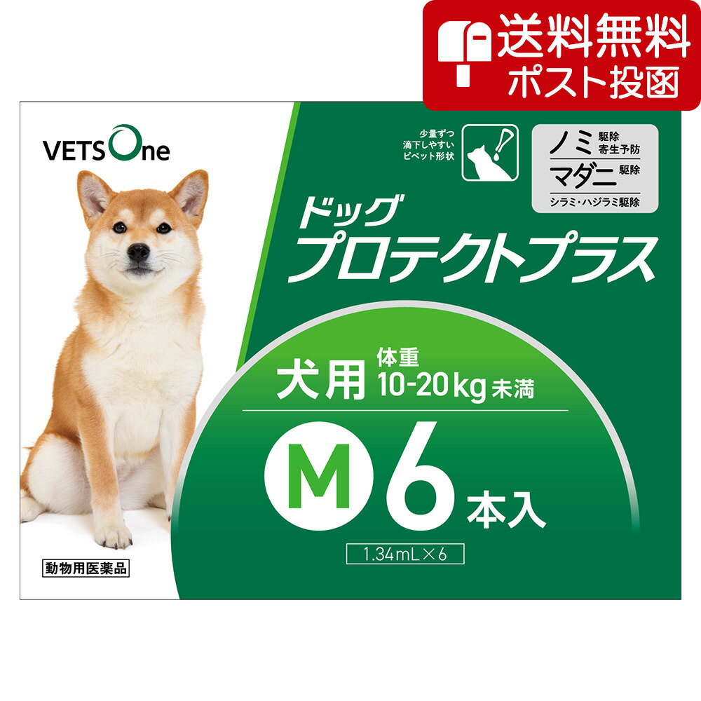 【ネコポス(同梱不可)】ベッツワン ドッグプロテクトプラス 犬用 M 10kg～20kg未満 6本 (動物用医薬品)...