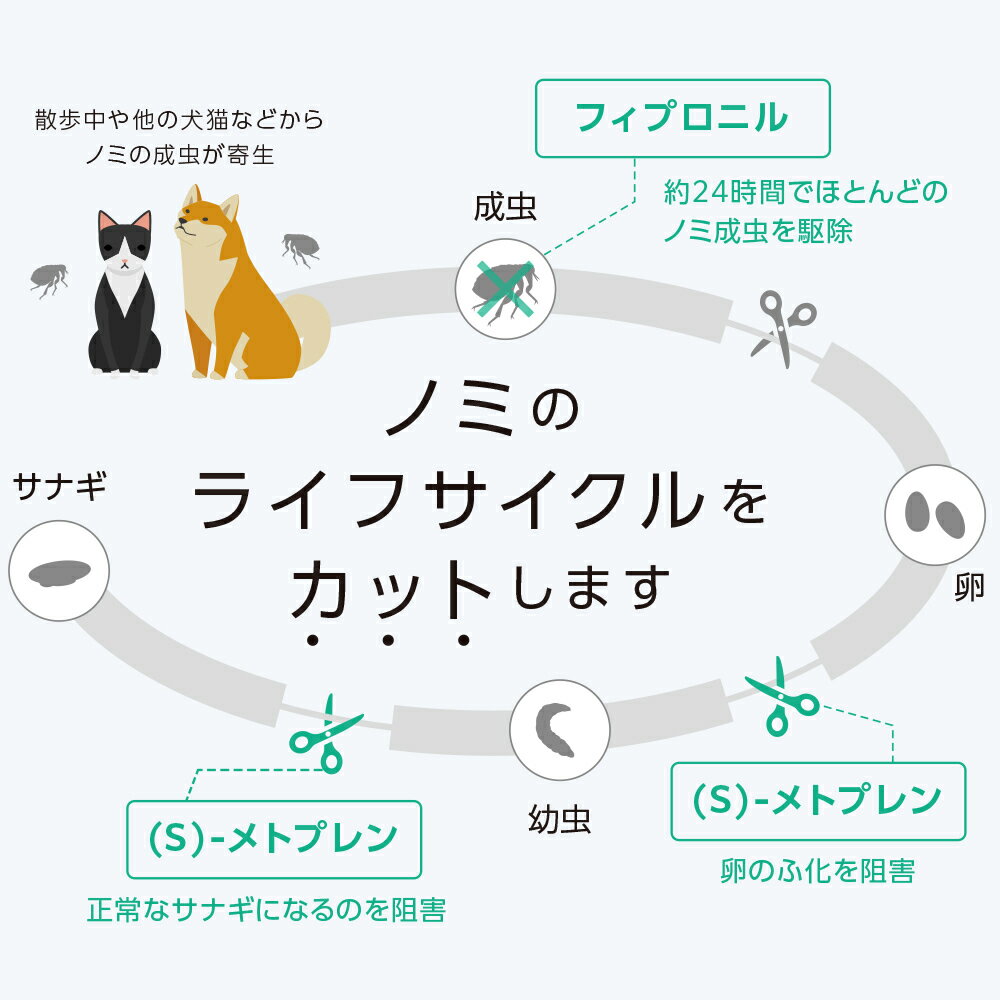 ベッツワン ドッグプロテクトプラス 犬用 L 20kg～40kg未満 3本 (動物用医薬品) 3