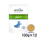 ベッツワンベテリナリー 犬用 pHケア チキン ウェット パウチ 100g×12