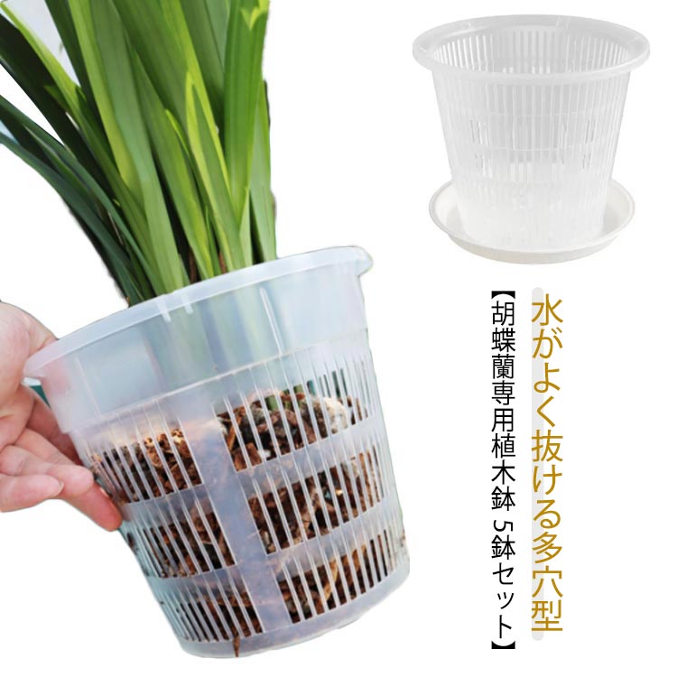 【胡蝶蘭専用植木鉢 5鉢セット】 【水がよく抜ける多穴型】育苗ポットは透明で、いつでも植物の根の成長や土の水分を観察できます。厚くて丈夫で、落としても簡単に壊れたり変形したりしません。植え替え用蘭鉢はお手入れ簡単で繰り返し使えます。側面の多孔性の穴に加え鉢底も複数の穴を標準としているので、より一層水はけ、通気性に優れています。胡蝶蘭だけでなく、多肉植物、果樹、植木栽培にもお勧め！ サイズ 直径11cm 直径14cm 直径16cm サイズについての説明 直径11cm 直径14cm 直径16cm 素材 プラスチック ABS 色 5鉢セット(受皿付き) 備考 ●サイズ詳細等の測り方はスタッフ間で統一、徹底はしておりますが、実寸は商品によって若干の誤差(1cm～3cm )がある場合がございますので、予めご了承ください。 ●製造ロットにより、細部形状の違いや、同色でも色味に多少の誤差が生じます。 ●パッケージは改良のため予告なく仕様を変更する場合があります。 ▼商品の色は、撮影時の光や、お客様のモニターの色具合などにより、実際の商品と異なる場合がございます。あらかじめ、ご了承ください。 ▼生地の特性上、やや匂いが強く感じられるものもございます。数日のご使用や陰干しなどで気になる匂いはほとんど感じられなくなります。 ▼同じ商品でも生産時期により形やサイズ、カラーに多少の誤差が生じる場合もございます。 ▼他店舗でも在庫を共有して販売をしている為、受注後欠品となる場合もございます。予め、ご了承お願い申し上げます。 ▼出荷前に全て検品を行っておりますが、万が一商品に不具合があった場合は、お問い合わせフォームまたはメールよりご連絡頂けます様お願い申し上げます。速やかに対応致しますのでご安心ください。