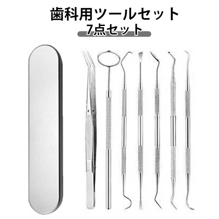 長持ち 衛生的 セルフケア 安心 ツール 歯科用 専用ケース付き ステンレス 歯石取り 7点セット デンタルツール 衛生的 収納便利 先極細 丈夫 セルフケア プロ仕様 自宅用 歯垢 除去 歯石除去 初心者 歯科用 歯石取り 歯石とり 器具 敬老の日