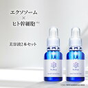 ヒト幹細胞 保湿 美容液 リビオン ビューティーファンクション 20ml 2本セット | ヒアルロン酸 エクソソーム ヒト幹細胞培養液 無添加 ハリ ツヤ ReBion エイジングケア 高保湿 スキンケア 敏感肌 乾燥肌 毛穴 シミ 化粧水 保湿美容液 保湿