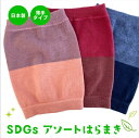 [ LINE 20%OFF ] SDGs もーーっと薄い 腹巻 通気性UP / 日本製 さらにうすい 薄い 暖かい 温活女子 腹巻き 蒸れにくい ひびきにくい はらまき パンツ レディース メンズ かわいい おしゃれ 日本製 敏感 肌 やさしい 女性用 妊婦 妊活 腹帯 温活 インナー 敬老