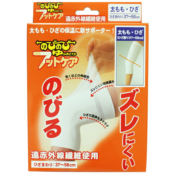 ■アイスノン アイスノンスカーフ 024380(6353244)×40[送料別途見積り][法人・事業所限定][掲外取寄]