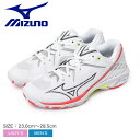《10%処分クーポン》ミズノ バドミントンシューズ レディース メンズ MIZUNO ウエーブクロー 3 スニーカー 靴 シューズ ローカット バドミントン ブ...