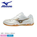 《限定クーポン配布》バドミントンシューズ ミズノ レディース MIZUNO ウエーブファングPRO 靴 シューズ スポーツ 運動 ジム 軽量 軽い ブランド シンプル カジュアル バドミントン 本革 白 ホワイト シルバー 71GA2100 2E