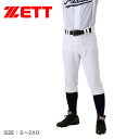 《限定クーポン配布》ゼット ユニフォーム メンズ ZETT ユニフォーム ショートフィットパンツ BU1836CP