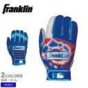 フランクリン バッティンググローブ 大人 一般 ユニセックス FRANKLIN プロ クラシック (両手用) 父の日モデル 野球 ベースボール バッティンググローブ 父の日 一般 大人 野球用品 スポーツ 部活 運動 人気 かっこいい 快適 フィット