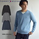 トミーヒルフィガー ニット メンズ TOMMY HILFIGER SIGNATURE SOLID V NECK ウェア トップス セーター Vネック 長袖 イン...