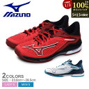 【15日限定Pバック】《10%処分クーポン》ミズノ テニスシューズ メンズ レディース MIZUNO ウエーブエクシードツアー 6 OC 靴 シューズ テニス ...