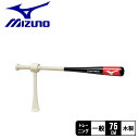 ミズノ トレーニングバット MIZUNO Axis Maker〈和田一浩氏共同開発トレーニングバット〉 野球 ベースボール バット トレーニング トレーニングバ...