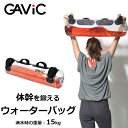 《限定クーポン配布》ガビック スポーツ器具 メンズ レディース GAVIC ウォーターバッグ 体幹 トレーニング 筋トレ フィットネス トレーニンググッズ エクササイズ ギャビック 筋肉 ジム 健康 体力づくり GC1222(4)
