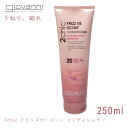 《限定クーポン配布》GIOVANNI ジョヴァンニ コンディショナー 返品不可2CHIC フリッズビーゴーン コンディショナー 250ml 2CHIC FRIZ...