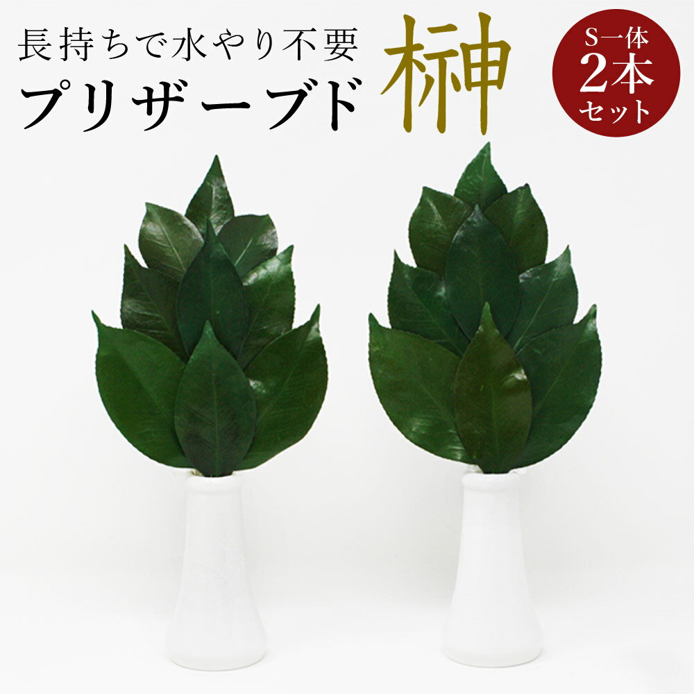 【メール便】 プリザーブド 榊 プレミアム Sサイズ（一対） 椿葉を実用新案取得製法加工　長持ちし水や..