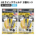 J-B クイックウェルド 2個セット 正規品 鉄粉入り 接着剤 溶接 切削穿孔 速乾 強力 エポキシ 耐水 耐油 J-B WELD ジェイビーウェルド 705-KW20Z 【メール便】【同梱不可】