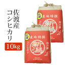 令和5年産 新潟県 佐渡産 コシヒカリ 玄米 10Kg (10キロ) 2023年度産 米 こしひかり 産地直送 国産 ご飯 【代引/同梱不可】