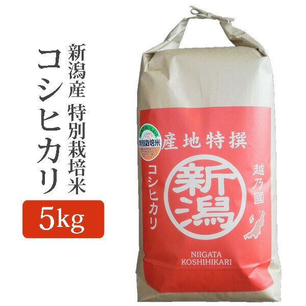 令和5年産 新潟県産 コ