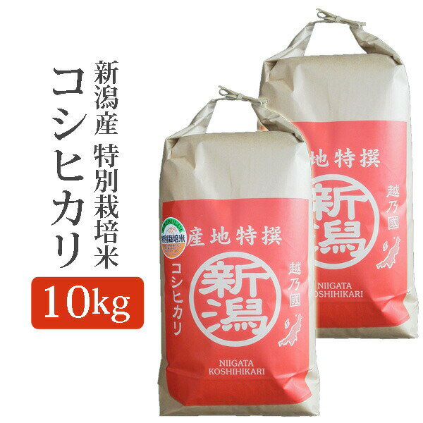 令和5年産 新潟県産 コ