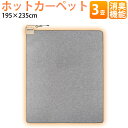 ホットカーペット 本体 床マット ラグマット ラグ 3畳 日本製 消臭機能付き 195×235cm ワタナベ工業 WHC-305-TS