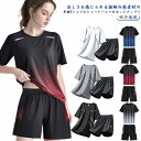 レディース ジャージ 吸汗 メンズ スポーツウェア 半袖 Tシャツ 接触冷感 速乾 セットアップ ショートパンツ 上下セット 軽量 通気性 ランニングウェア ト...