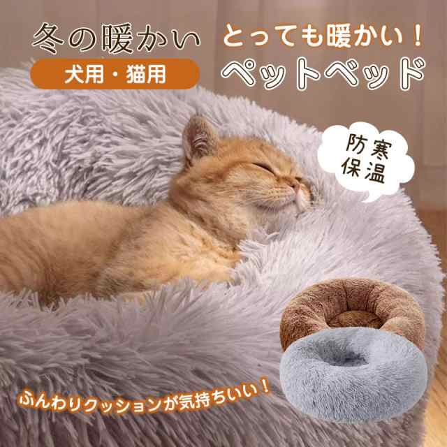 ڥåȥ٥å å  ǭ    Ȥ դդ դ ڥåѥ٥å  襤  ڥ