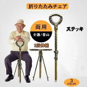 ステッキ 杖 トレッキングポール 介護用品 登山杖 折り畳み 軽量 ステッキチェア 折りたたみ椅子 2段伸縮 椅子付き杖 スタイリッシュ ギフト