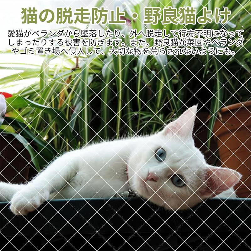 防鳥ネット 3m×8m 4m×12m ベランダ 鳥よけネット - 25mm目合 ナイロン 網 鳩 カラス 鳥害対策 ブルーベ..