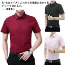 夏 ワイシャツ 半袖 メンズ ビジネスシャツ ブラウス 形態安定 ボタンダウン シャツ 春シャツ 夏シャツ トップス ビジネス カッターシャツ Yシャツ 大きいサイズ シャツ 制服 新卒 営業 オフィス テレワーク 父の日 ドレスシャツ シンプル 無地 春 夏 カジュアル 送料無料