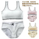 ノンワイヤーブラ ショーツセット ジュニアブラジャー 上下セット ショーツセット 無地 学生 シンプル パッド付き スポーツブラ 上下セット ナイトブラ フィッ...