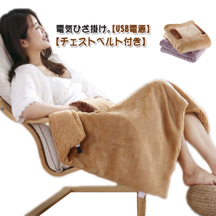 電気ひざ掛け 60×80cm USB コンパクト ハンドポケット あったか 秋 冬 電気ブランケット 電気毛布 ふわふわ もこもこ 肩掛け 持ち運び ハンドウォーマー 腰掛け 洗える 丸洗い ぽかぽか 節電 コードレス 電熱毛布 寒さ対策 防寒グッズ
