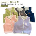 キッズベスト ベビーベスト ベスト 子供 キッズ ジュニア 両面起毛 Vネック 裏起毛 フリースベスト 子供服 男の子 女の子 子ども トップス 秋冬 アウター ノーカラー 襟なし 厚手 防寒 暖かい あったか 無地 可愛い 保育園 幼稚園 保温 春 秋 冬 軽量 80-150cm