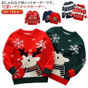 クリスマス セーター キッズ 子供 クリスマスセーター 子供服 クリスマス衣装 男の子 女の子 サンタ服 キッズ ジュニア ベビー トナカイ 恐竜 トップス 防寒 子ども カジュアル 暖かい 写真撮影 年賀状 お祝い 誕生日 プレゼント ギフト 100 110 120 130 140cm