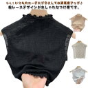 ハイネック レース 付け襟 タートル つけ襟 レディース ネックカバー 付け衿 レイヤード 重ね着 インナー レースつけ襟 おしゃれ ブラック ホワイト アイボリー ベージュ