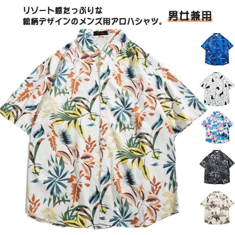 ��� ���� �����奢�륷��� �����ϥ���� �������� ����� �ܥ��˥����� ���� �ȥåץ� Ⱦµ ���� ��ǥ����� ������� ������ �� �ӡ�������� ������...