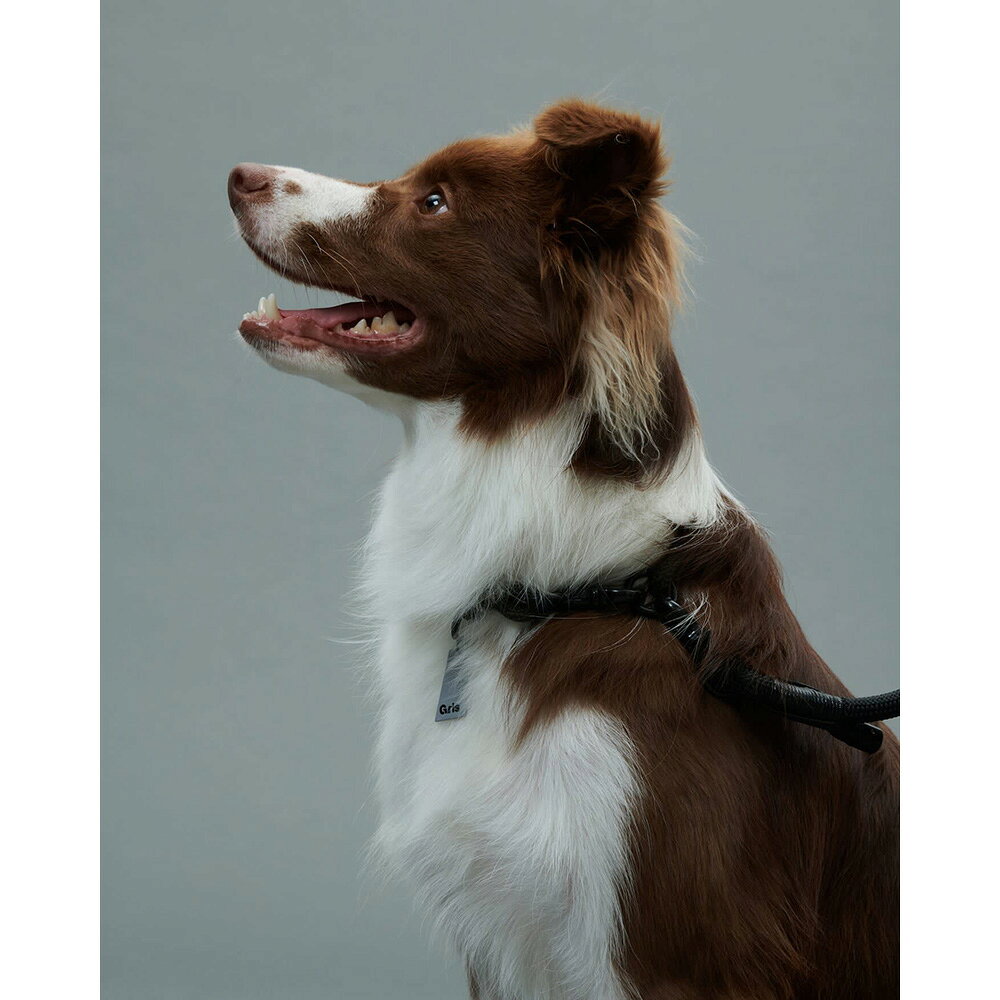 グリ gris THE COLLAR PEAT BLACK 40cm [GCL122101314]