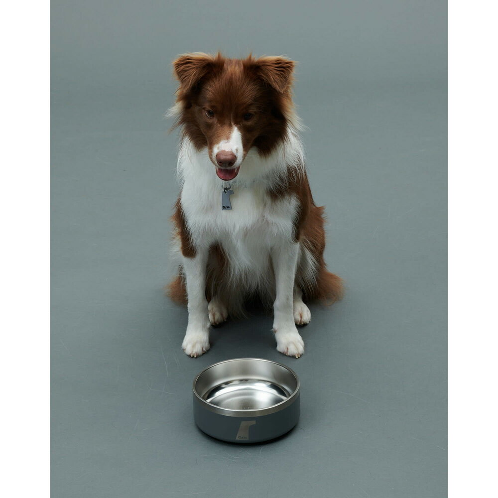  gris DW BOWL GREY 1.2L [GCW122101202]