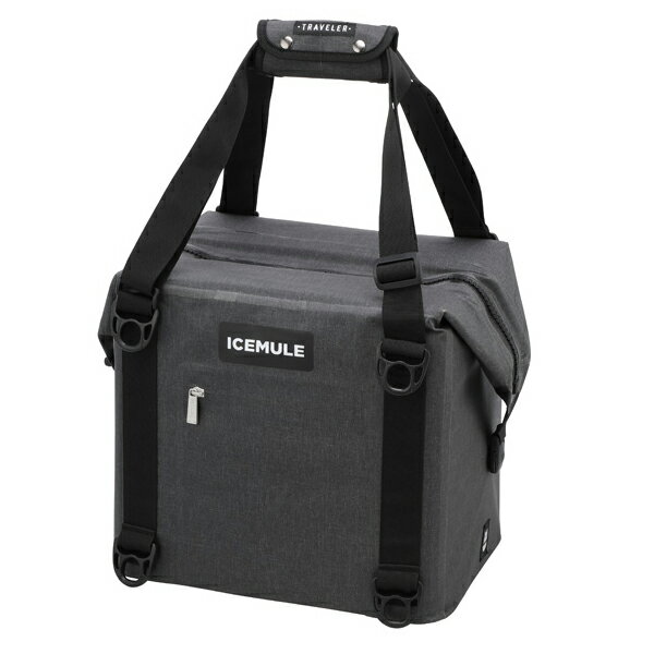 アイスミュール ICEMULE トラベラー 25L スノーグレー 