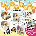 ペット 写真 オリジナル グッズ オリジナルグッズ バッジ 缶バッジ 56mm クリアファイル スマホリング キーホルダー ステッカー シール レギュラー うち...