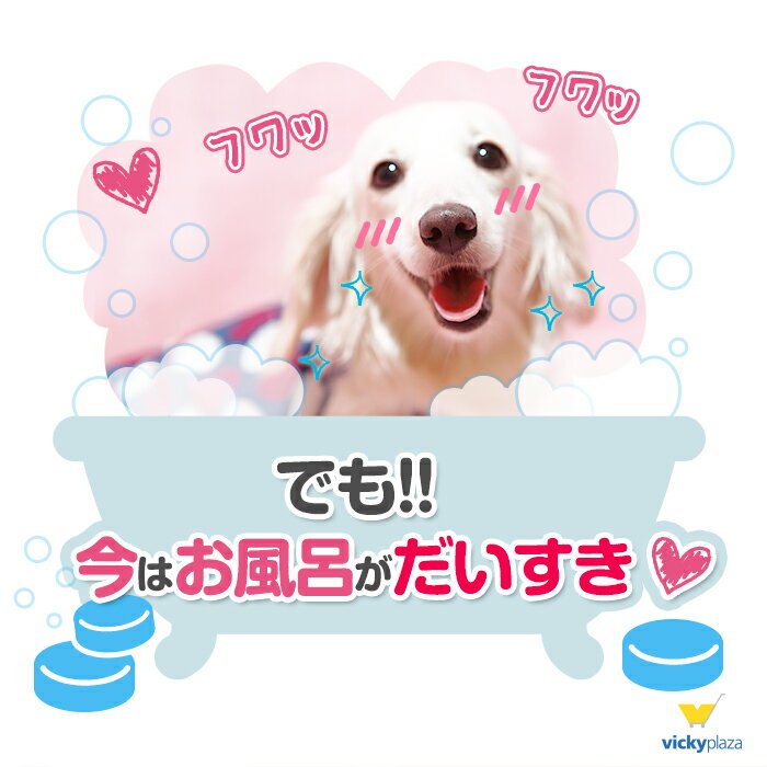 �� ǭ �ڥå� ����� ���롼�ߥ󥰥��� 10�� ���å� | ��ú������� ���� �ۥåȥ��� ú���� ���� ���楱�� ̵ź�� ̵�忧 ̵���� ��ú�� �����󥱥� ��� �� ǭ�ڥ�ӥ塼��ƤǤ�������