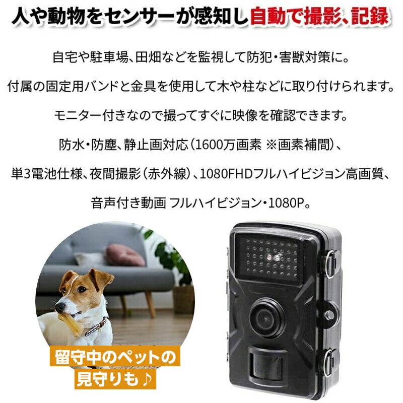 防犯赤外線カメラ SDカード32G付き 工事不要屋外取り付け センサー感知 乾電池式防...